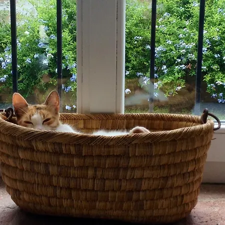 La Martina Country House * Numana