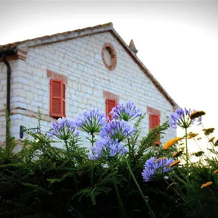 Летний дом La Martina Country House